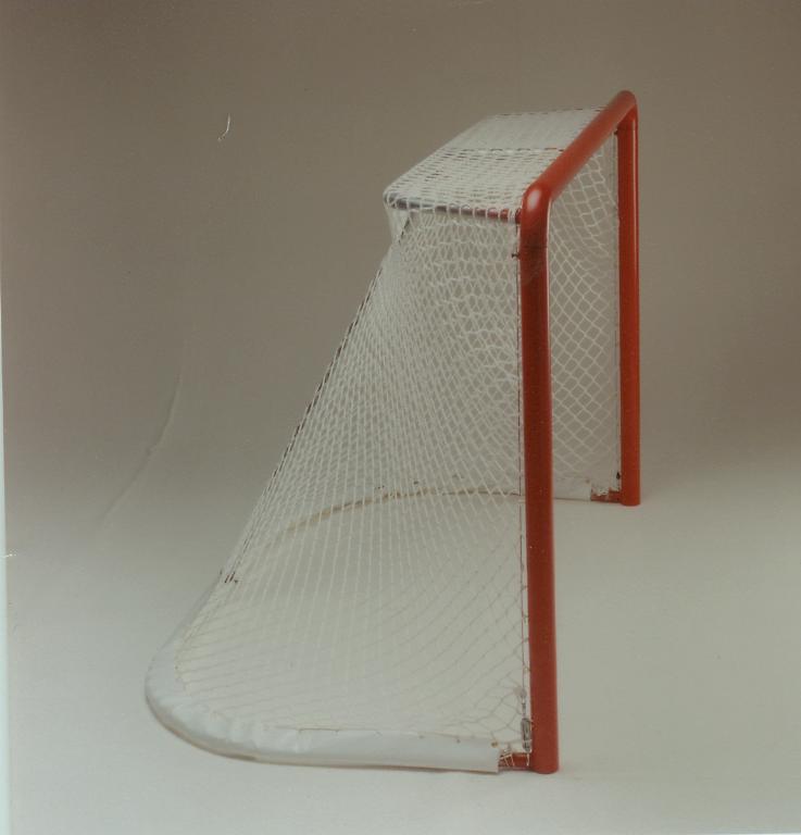 Regulation Hockey Goal & Net